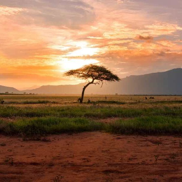 dove fare volontariato in africa